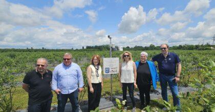 אנשים עומדים באזור חקלאי