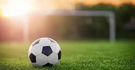 כדור, מגרש דשא כדורגל, שער