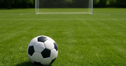 כדור, מגרש דשא כדורגל, שער